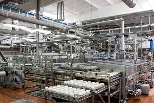 Solar Hot Water Heaters for Food Processing Centers