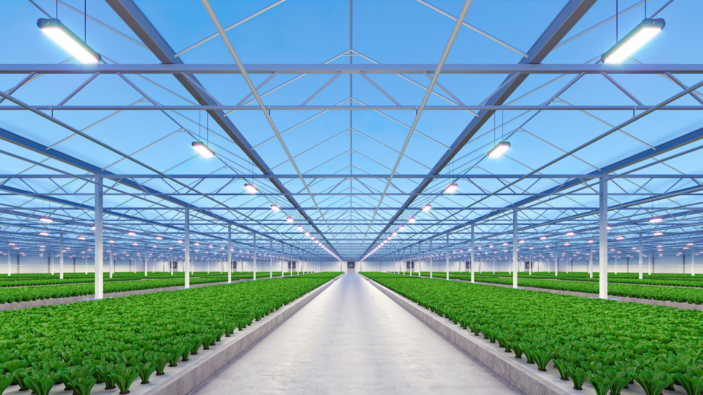 Greenhouse Solar water heating