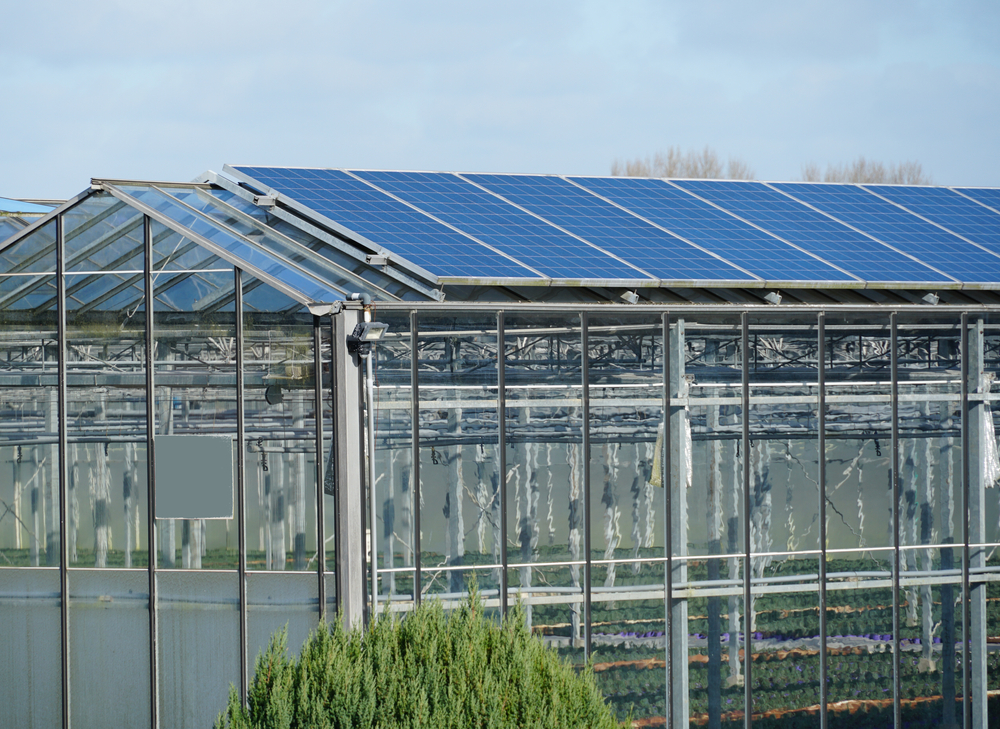 Agriculture Industry Solar Water Heating